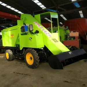 Povi dung fufulu taavale