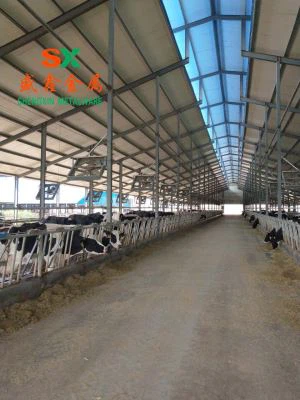 Family Cow Cow Free Beall